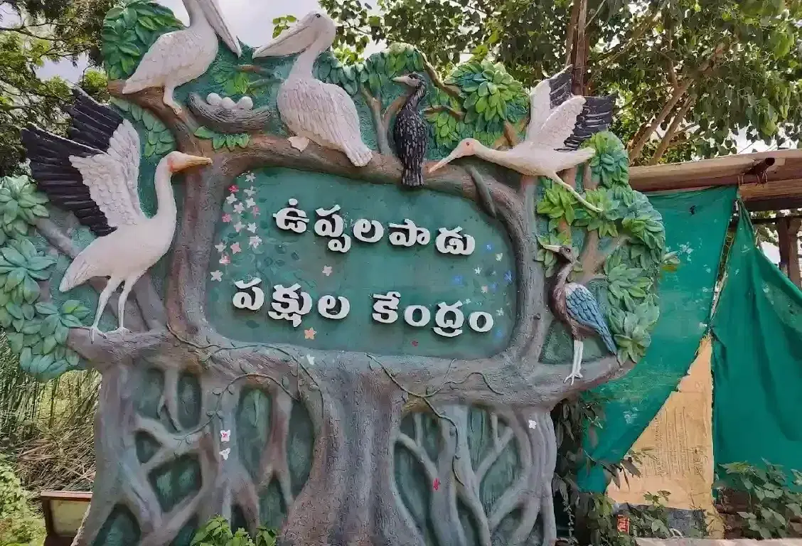 Uppalapadu Bird Sanctuary